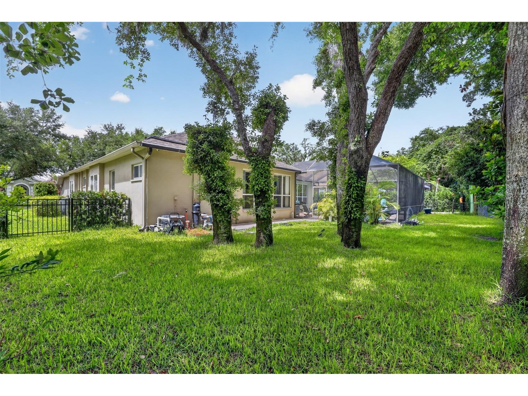 15020 Eaglerise Drive Lithia FL 33547 O6388549 image50
