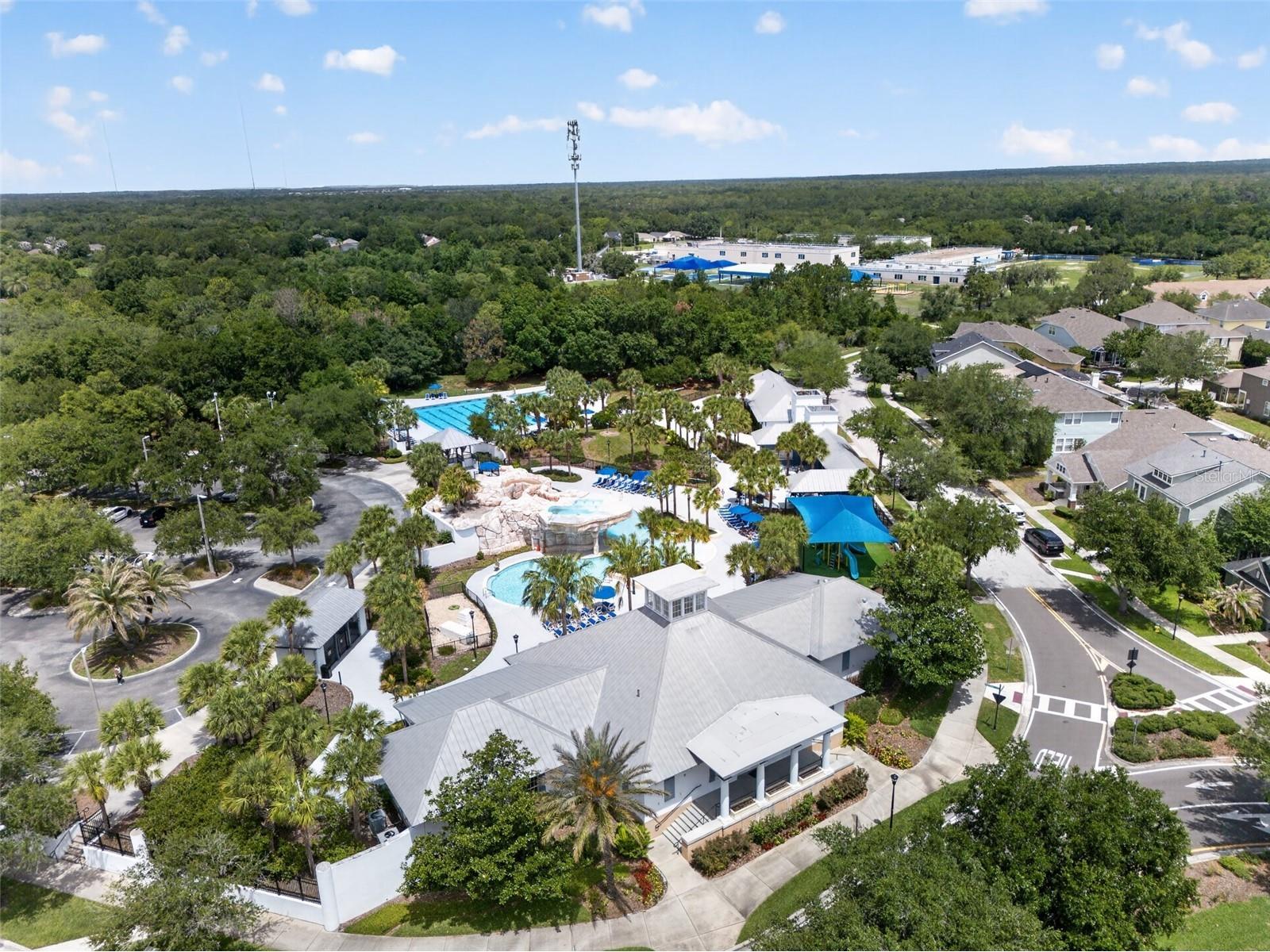 15020 Eaglerise Drive Lithia FL 33547 O6388549 image54