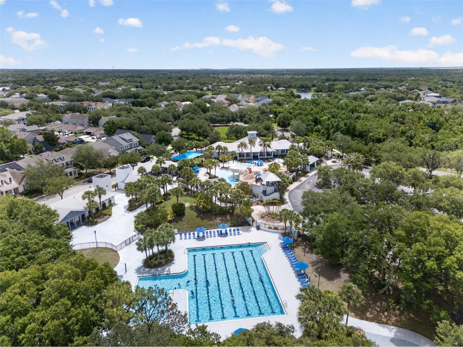 15020 Eaglerise Drive Lithia FL 33547 O6388549 image57