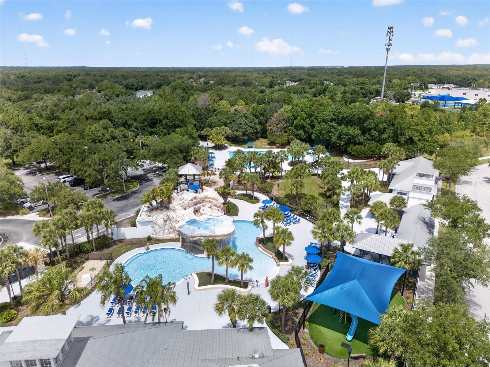 15020 Eaglerise Drive Lithia FL 33547 O6388549 image58