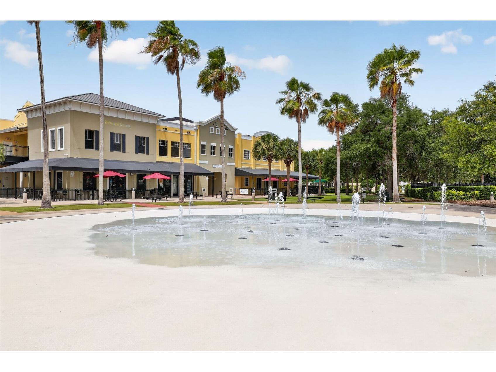 15020 Eaglerise Drive Lithia FL 33547 O6388549 image62