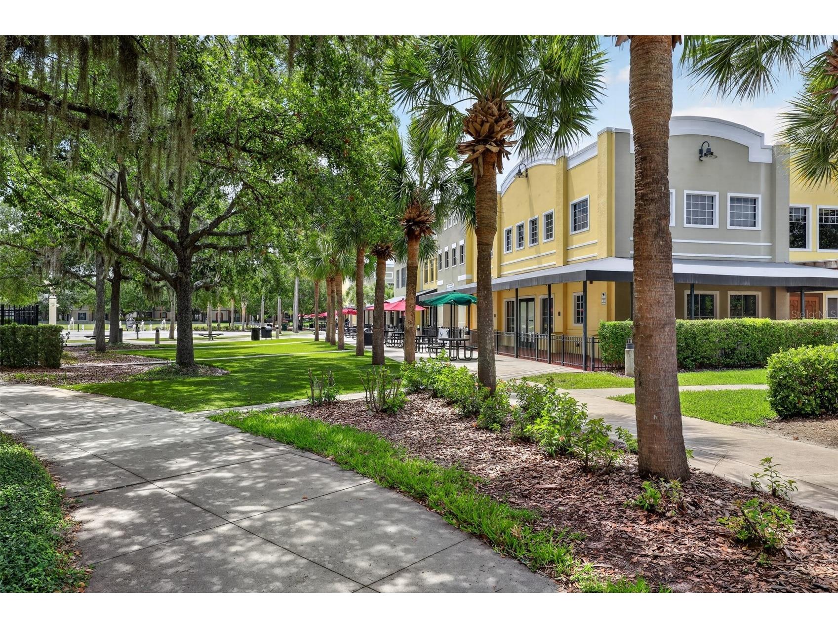 15020 Eaglerise Drive Lithia FL 33547 O6388549 image65