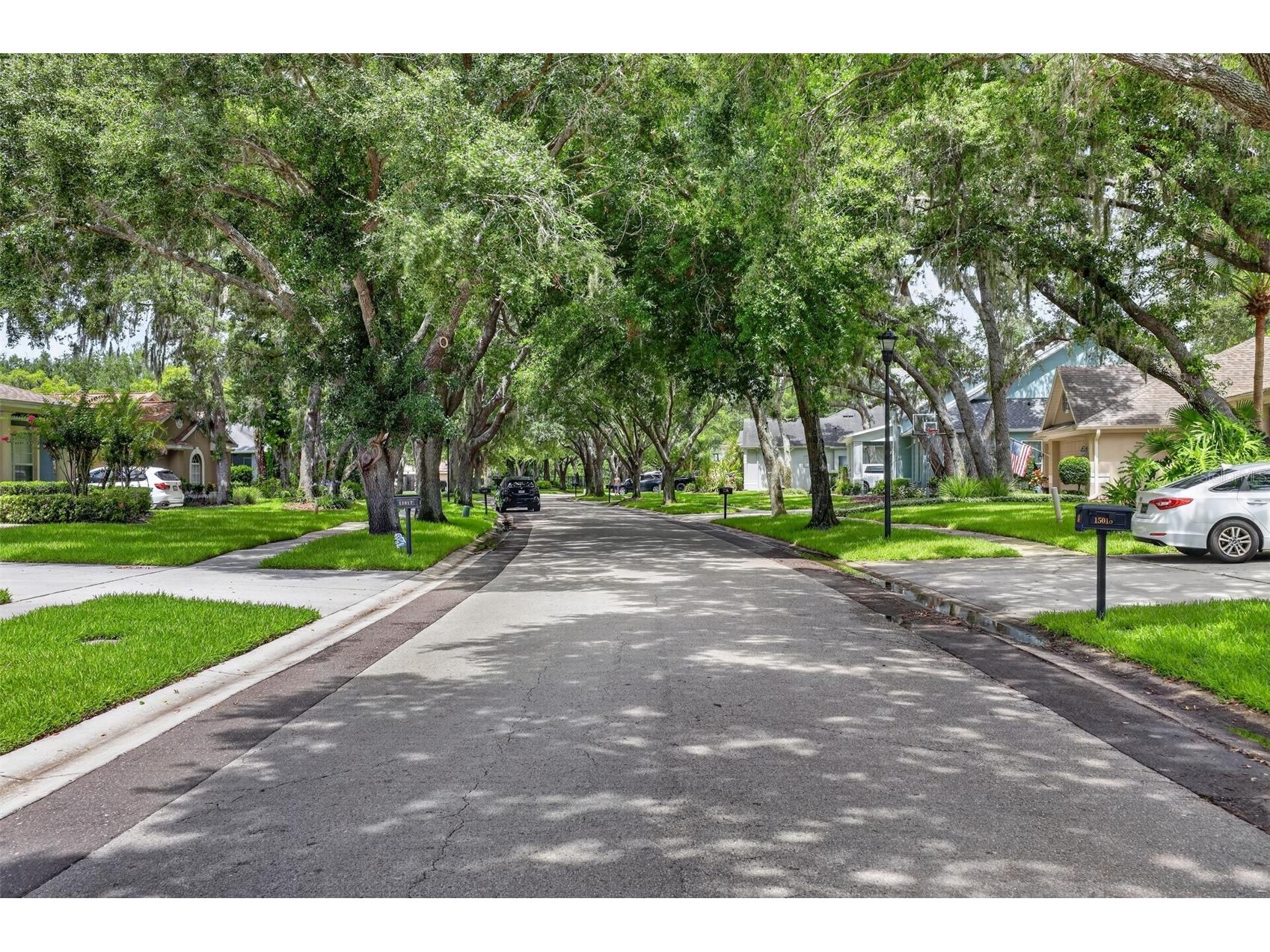 15020 Eaglerise Drive Lithia FL 33547 O6388549 image66