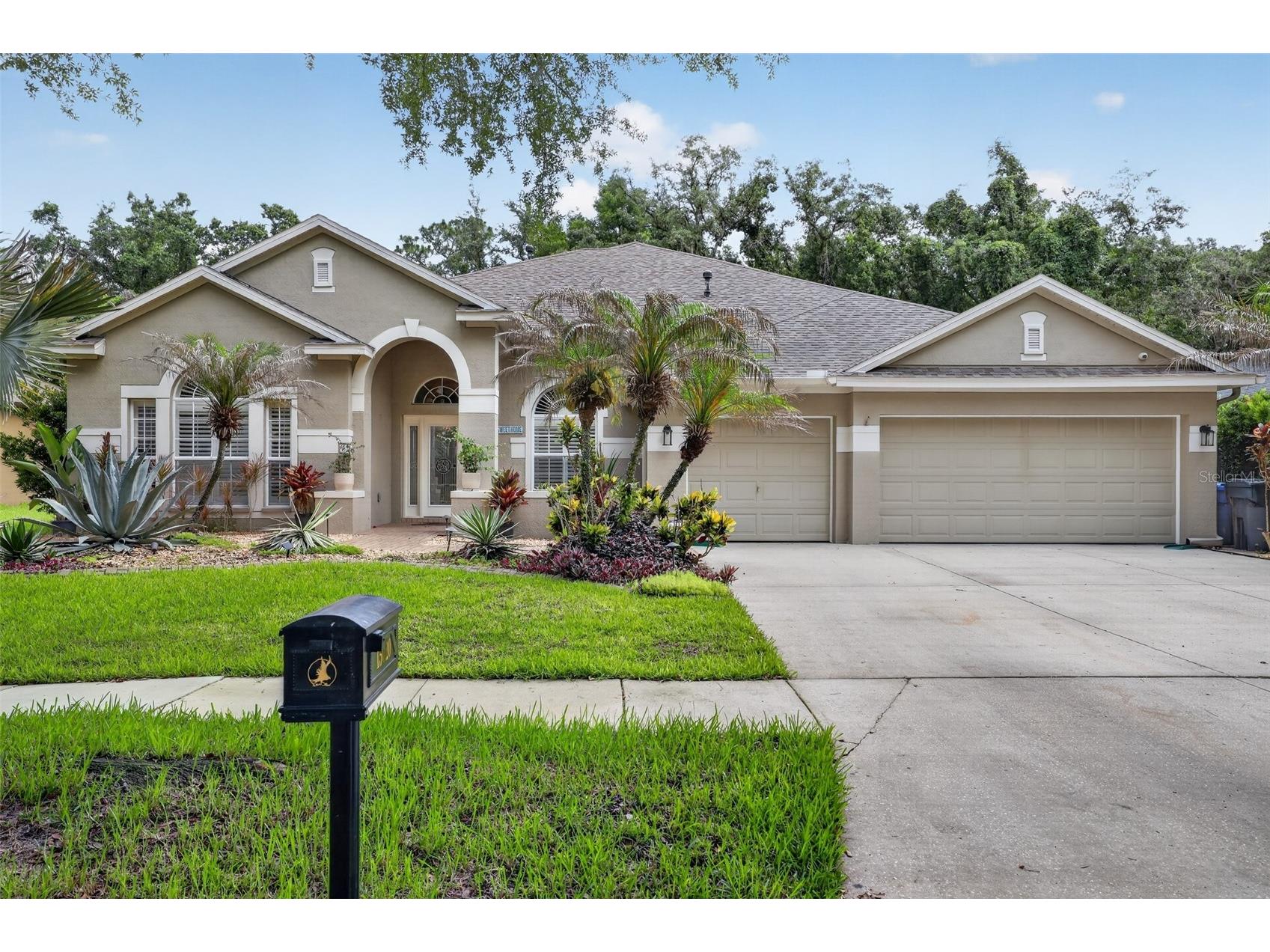 15020 Eaglerise Drive Lithia FL 33547 O6388549 image68