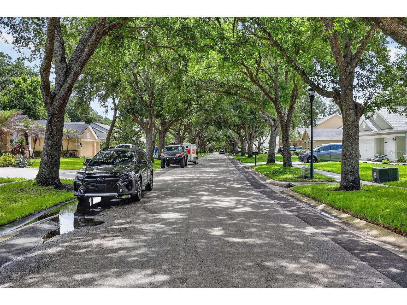 15020 Eaglerise Drive Lithia FL 33547 O6388549 image69