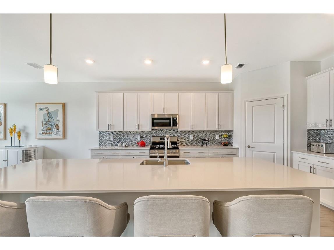 15021 Sea Salt Way Bradenton FL 34211 A4626305 image19