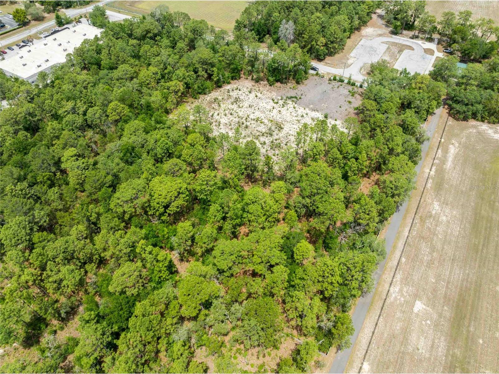 15022 Gar Street Spring Hill FL 34609 TB8505567 image11