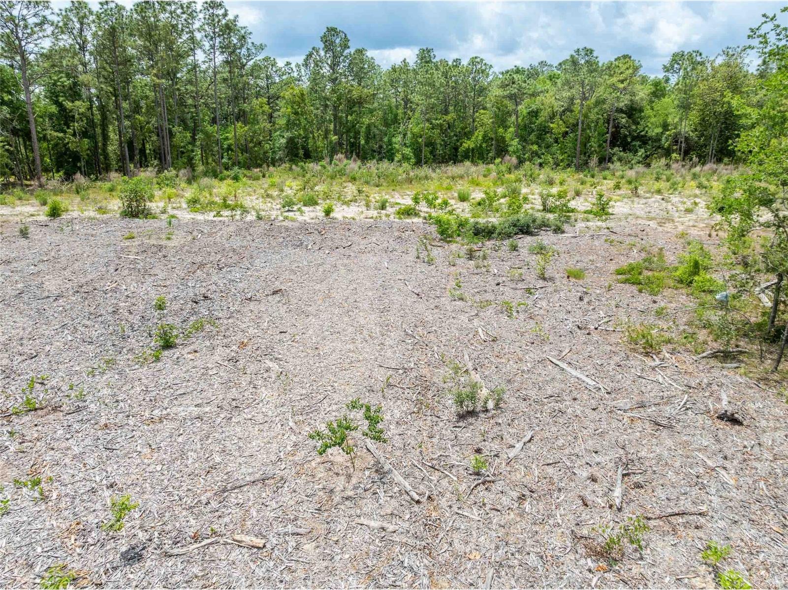 15022 Gar Street Spring Hill FL 34609 TB8505567 image17