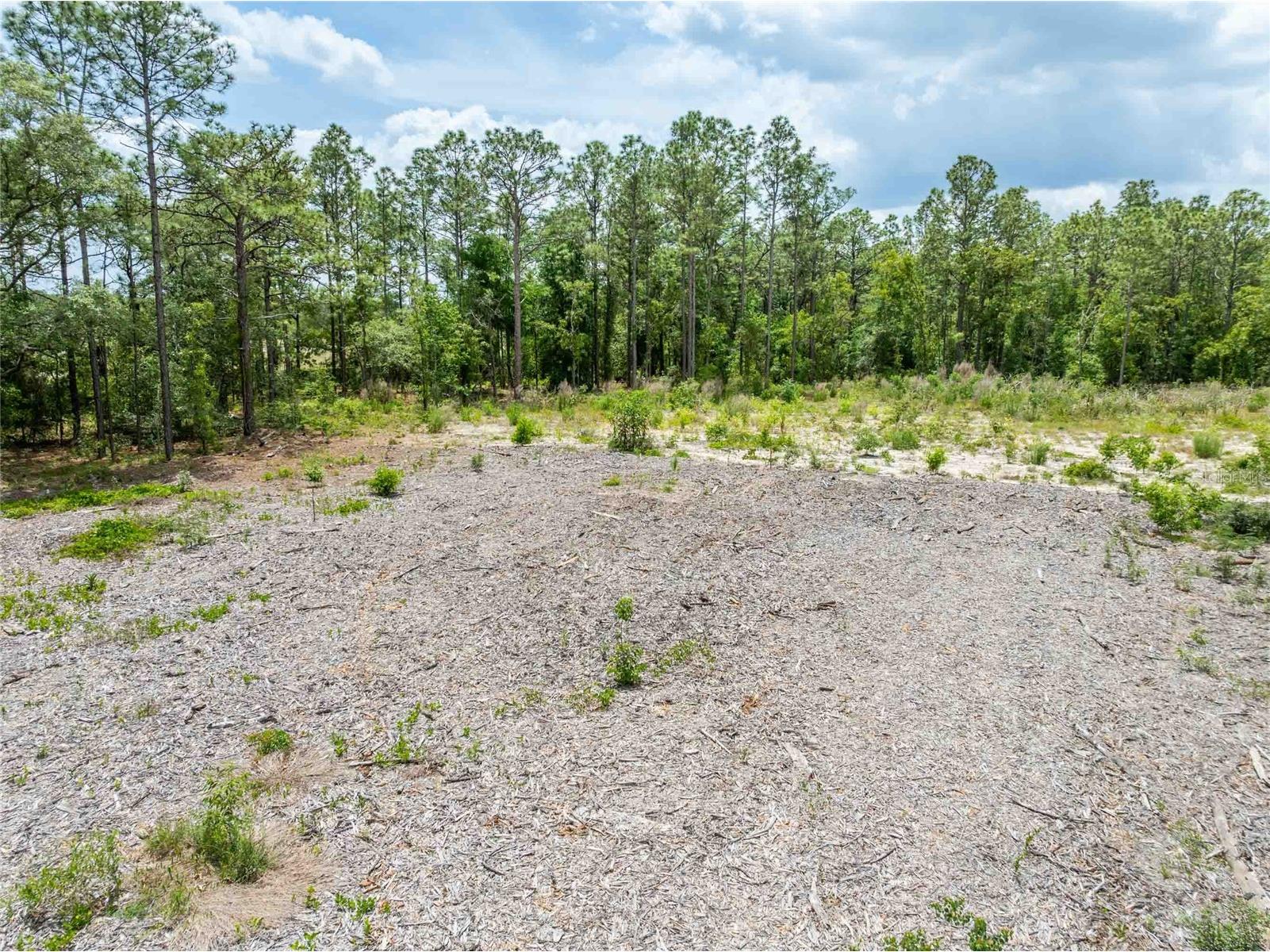 15022 Gar Street Spring Hill FL 34609 TB8505567 image18