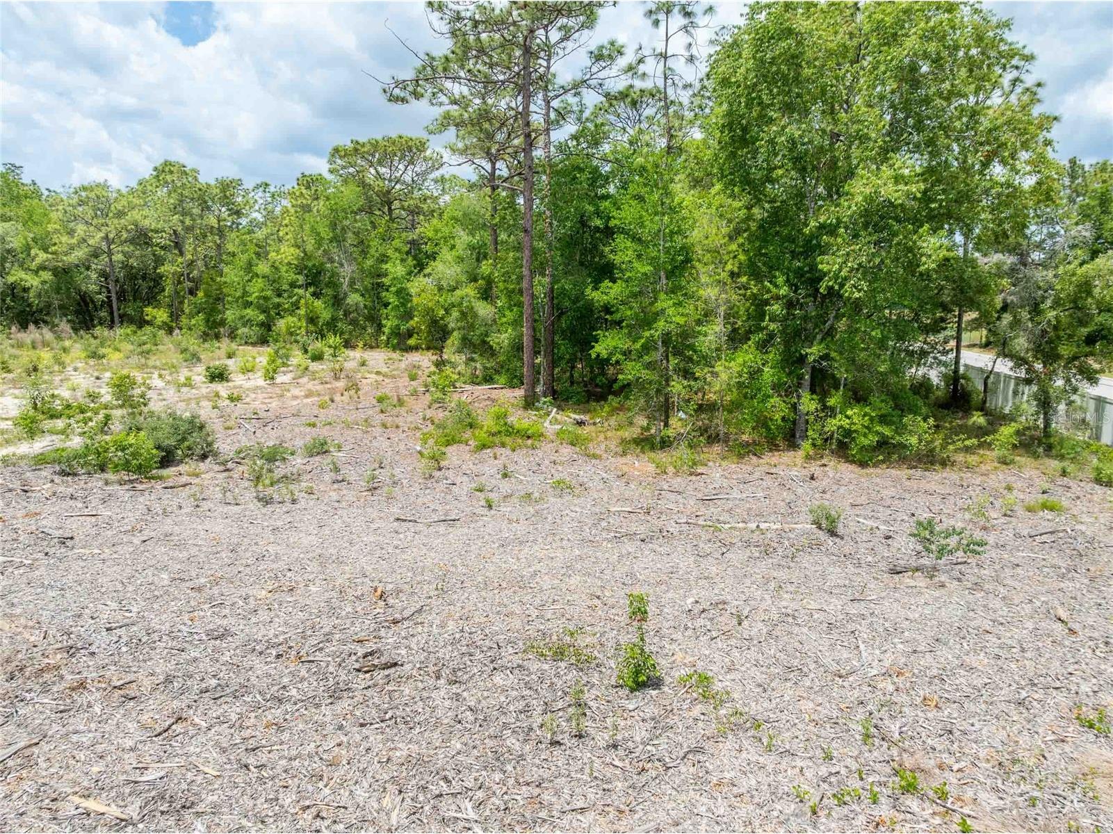 15022 Gar Street Spring Hill FL 34609 TB8505567 image19