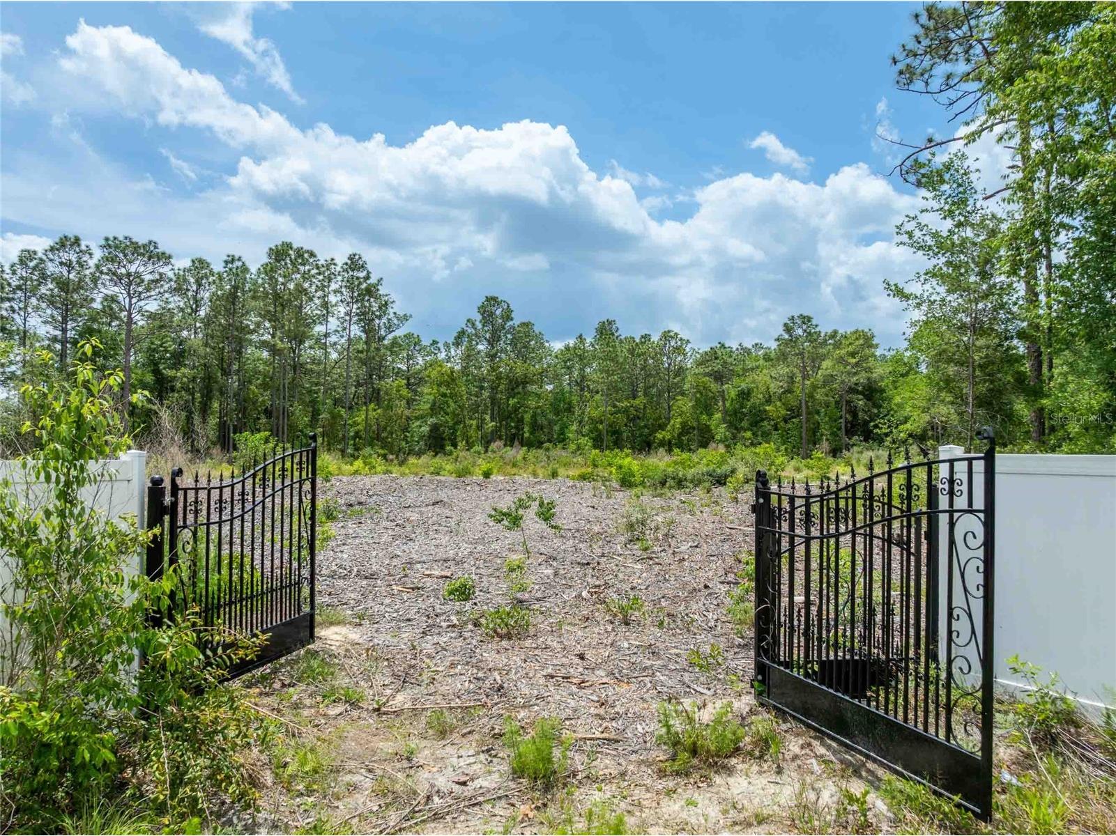 15022 Gar Street Spring Hill FL 34609 TB8505567 image2