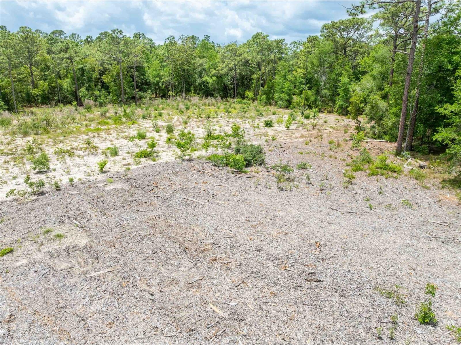 15022 Gar Street Spring Hill FL 34609 TB8505567 image20