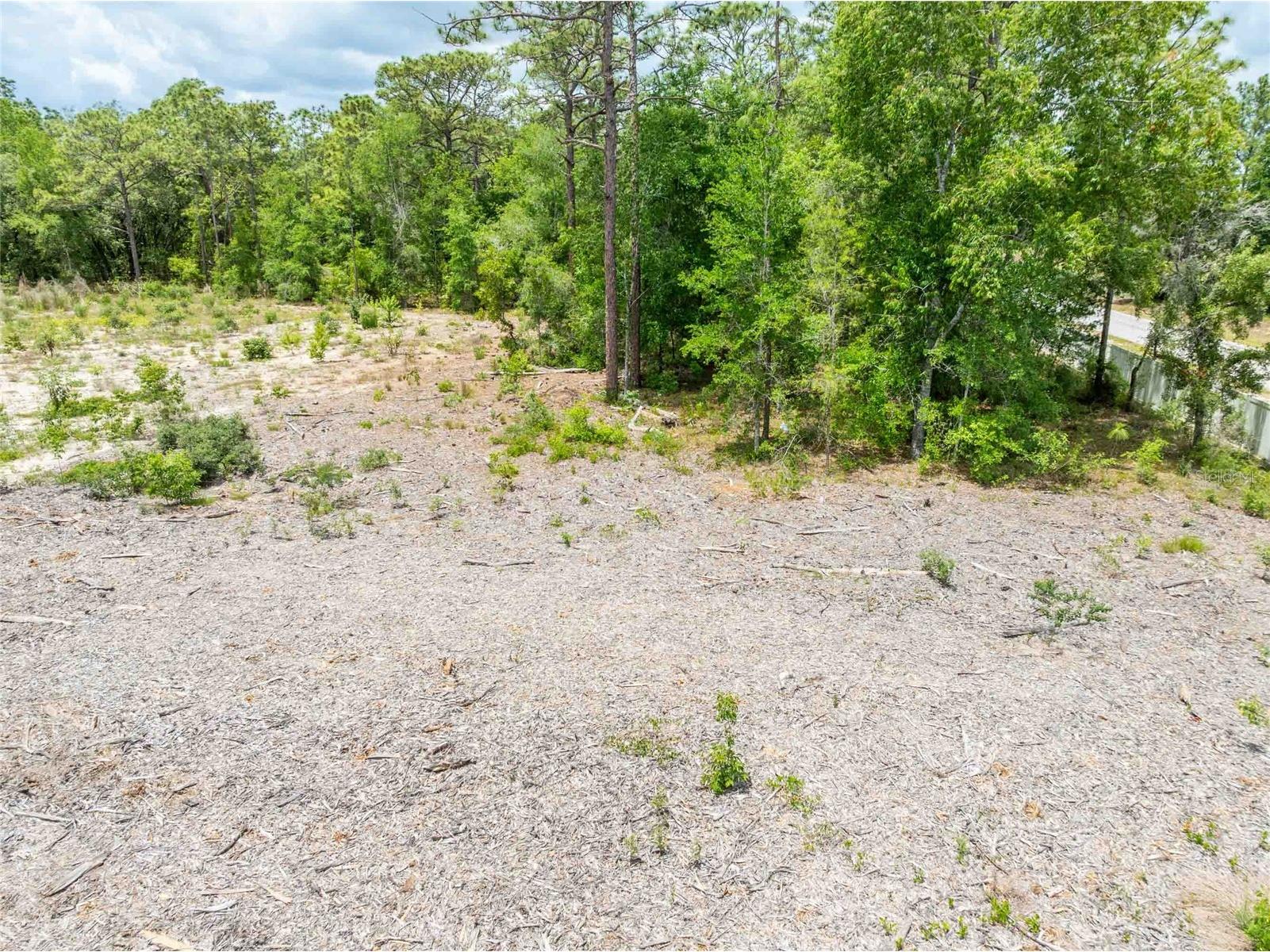15022 Gar Street Spring Hill FL 34609 TB8505567 image21