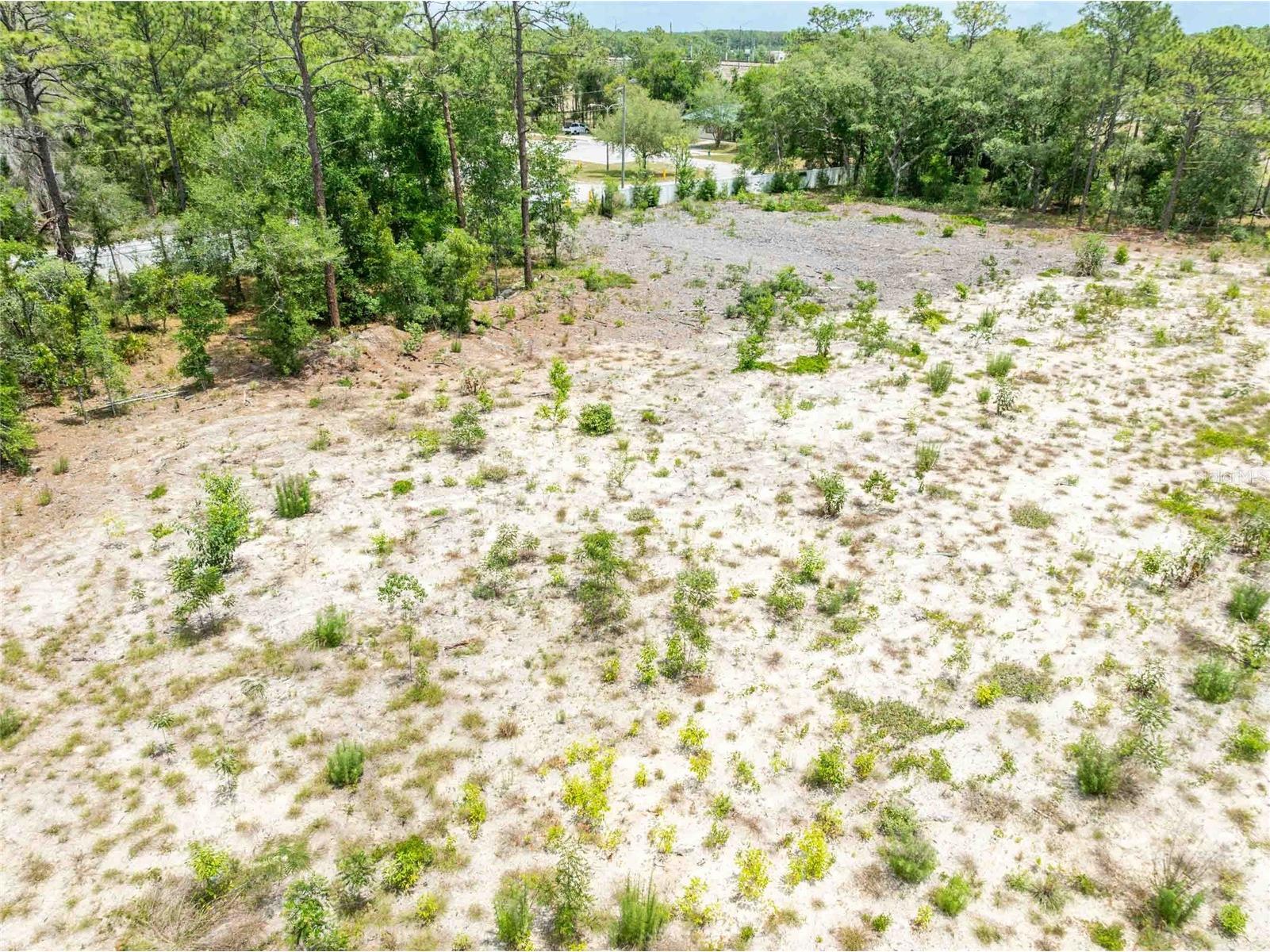 15022 Gar Street Spring Hill FL 34609 TB8505567 image24