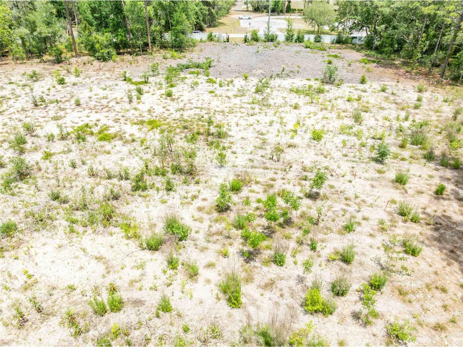 15022 Gar Street Spring Hill FL 34609 TB8505567 image25