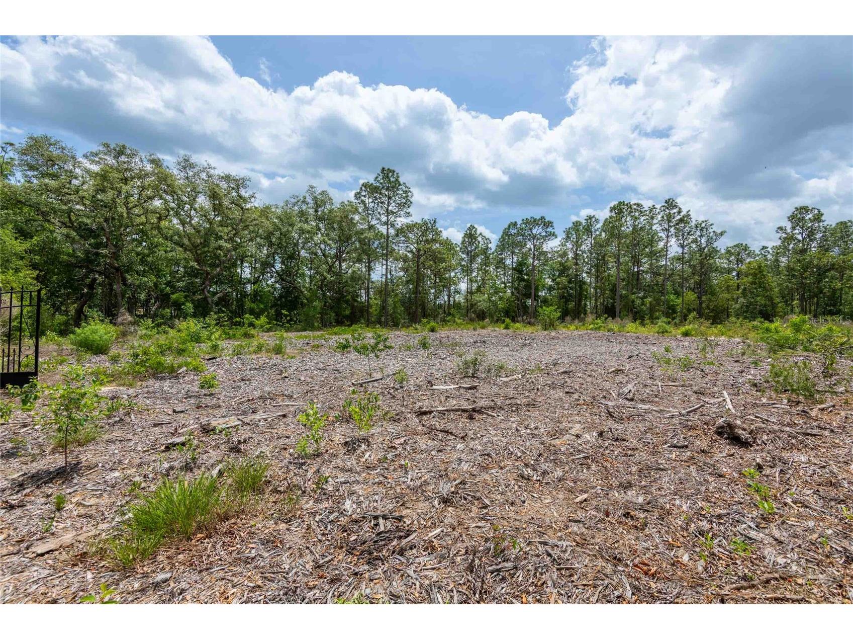 15022 Gar Street Spring Hill FL 34609 TB8505567 image7