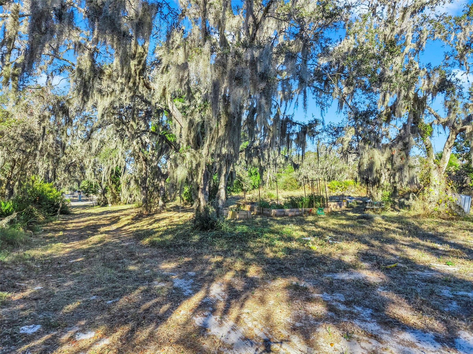 15024 Carlton Lake Road Wimauma FL 33598 TB8466593 image2