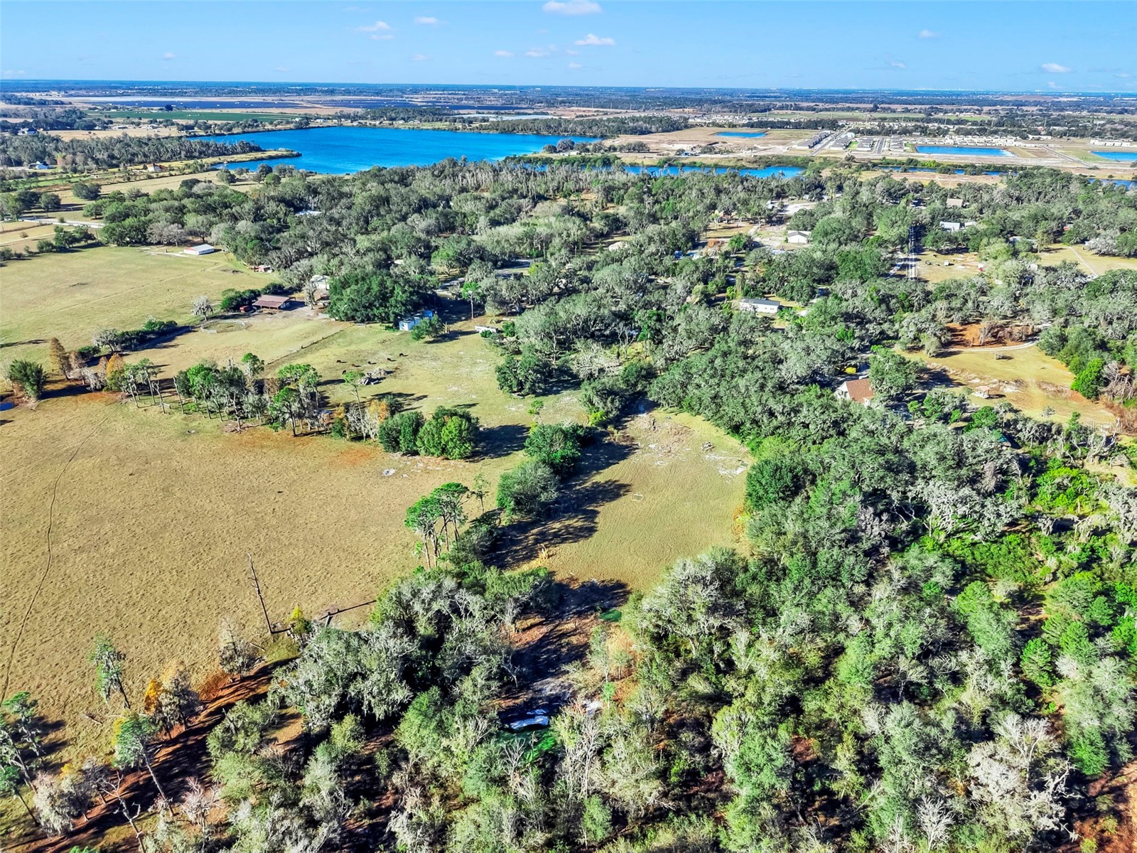 15024 Carlton Lake Road Wimauma FL 33598 TB8466593 image4