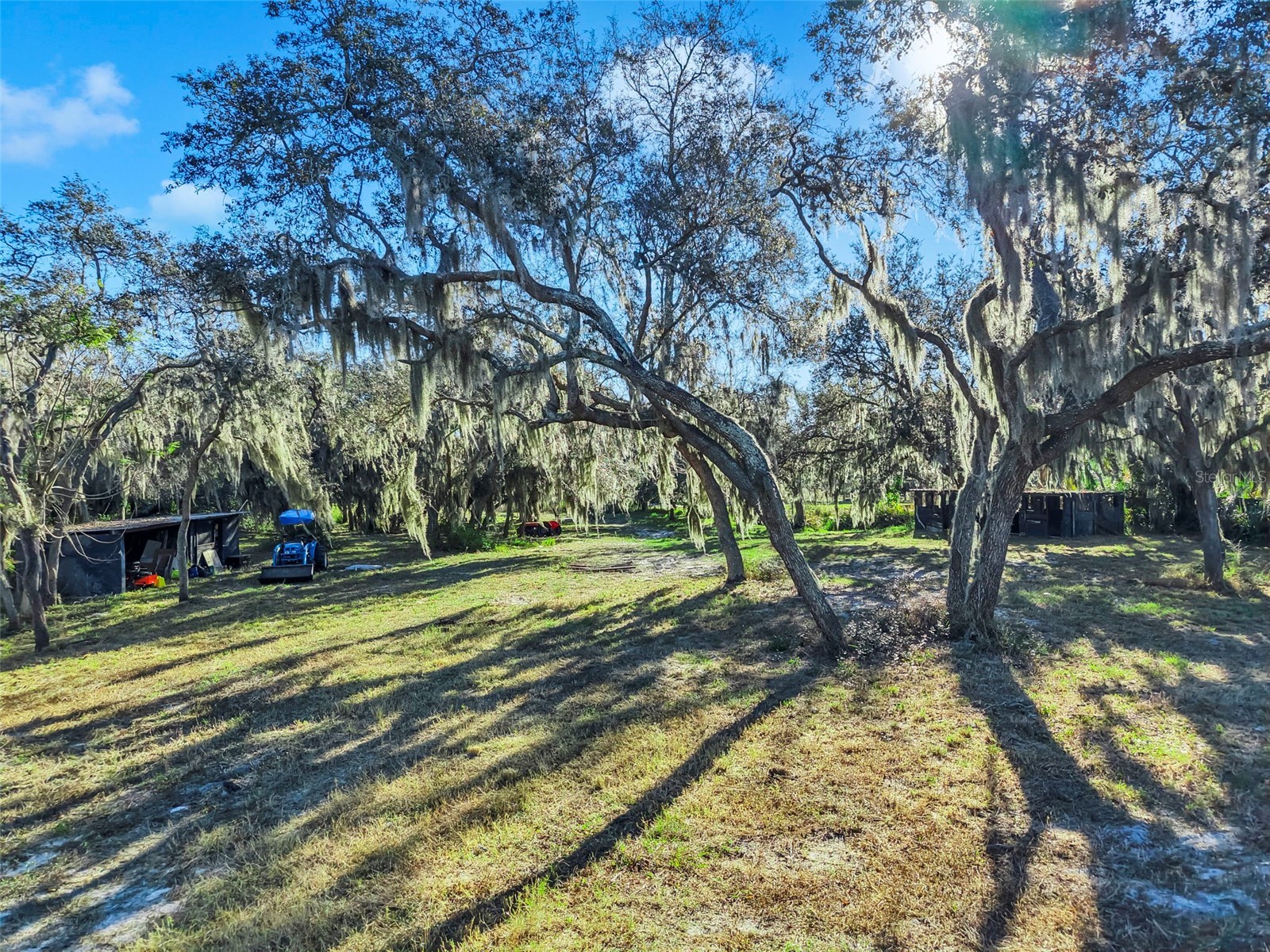 15024 Carlton Lake Road Wimauma FL 33598 TB8466593 image6