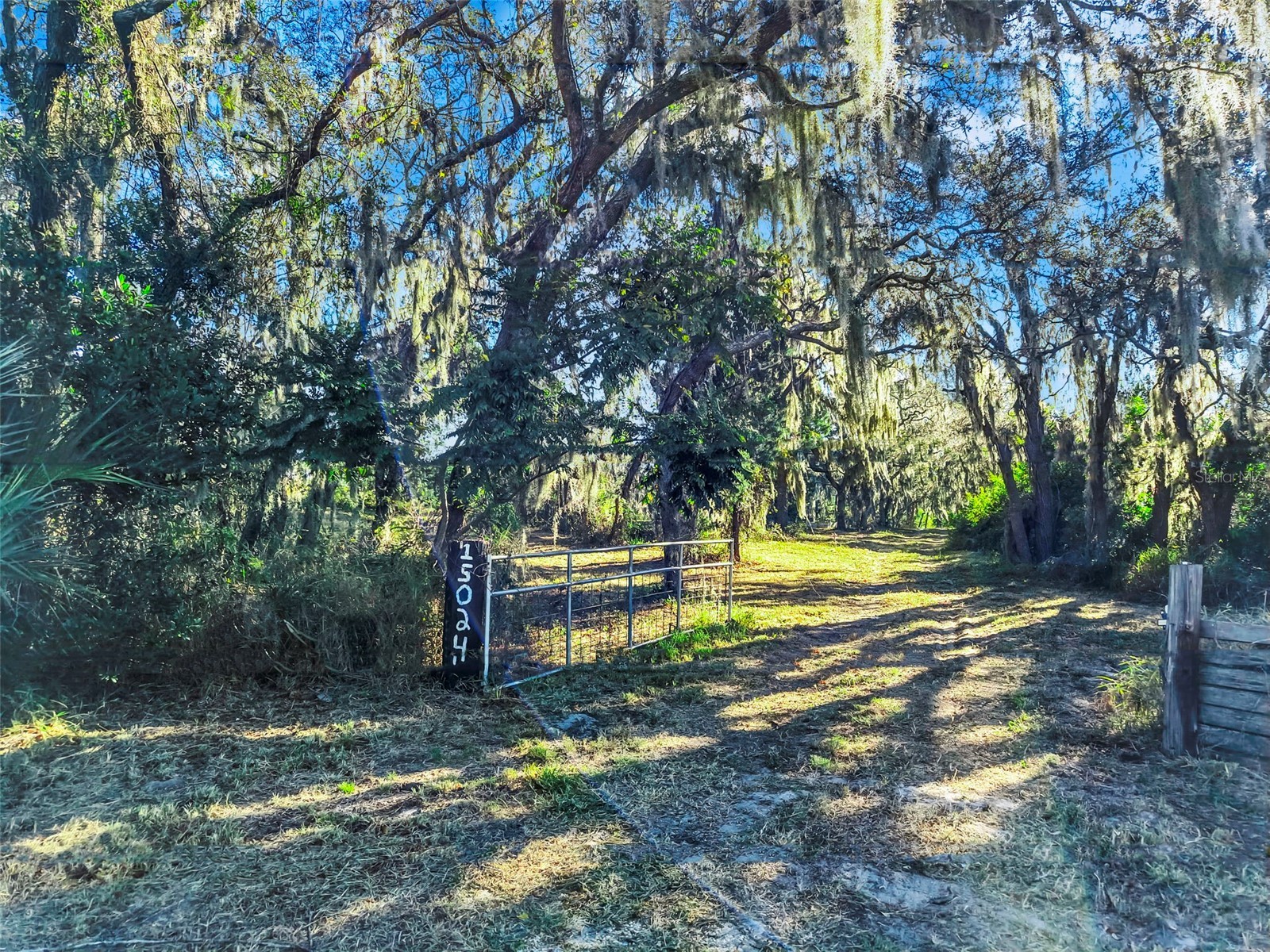 15024 Carlton Lake Road Wimauma FL 33598 TB8466593 image9