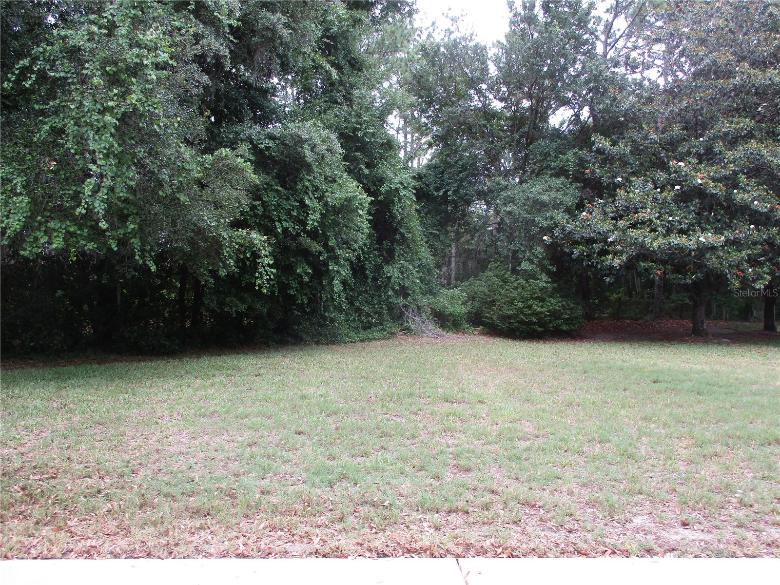 15024 SW 112th Circle Dunnellon FL 34432 OM723863 image50