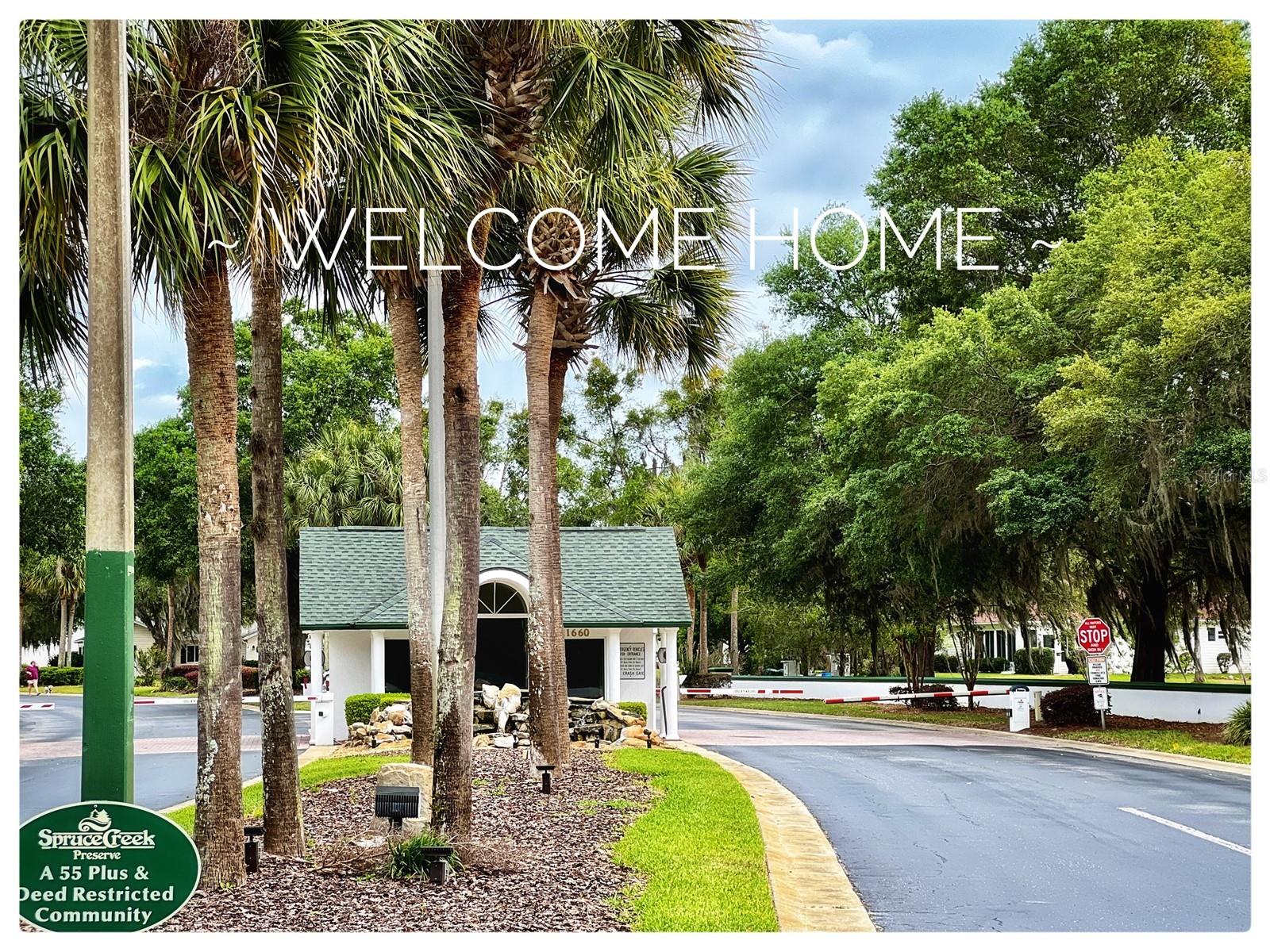 15024 SW 112th Circle Dunnellon FL 34432 OM723863 image59