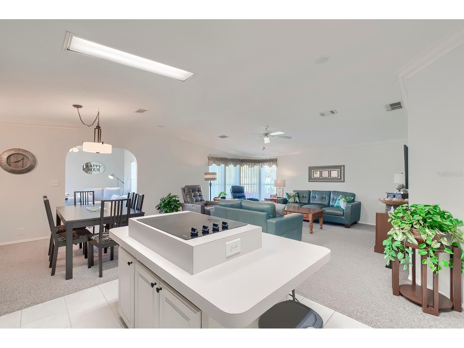 15025 Brookridge Boulevard Brooksville FL 34614 W7883797 image19