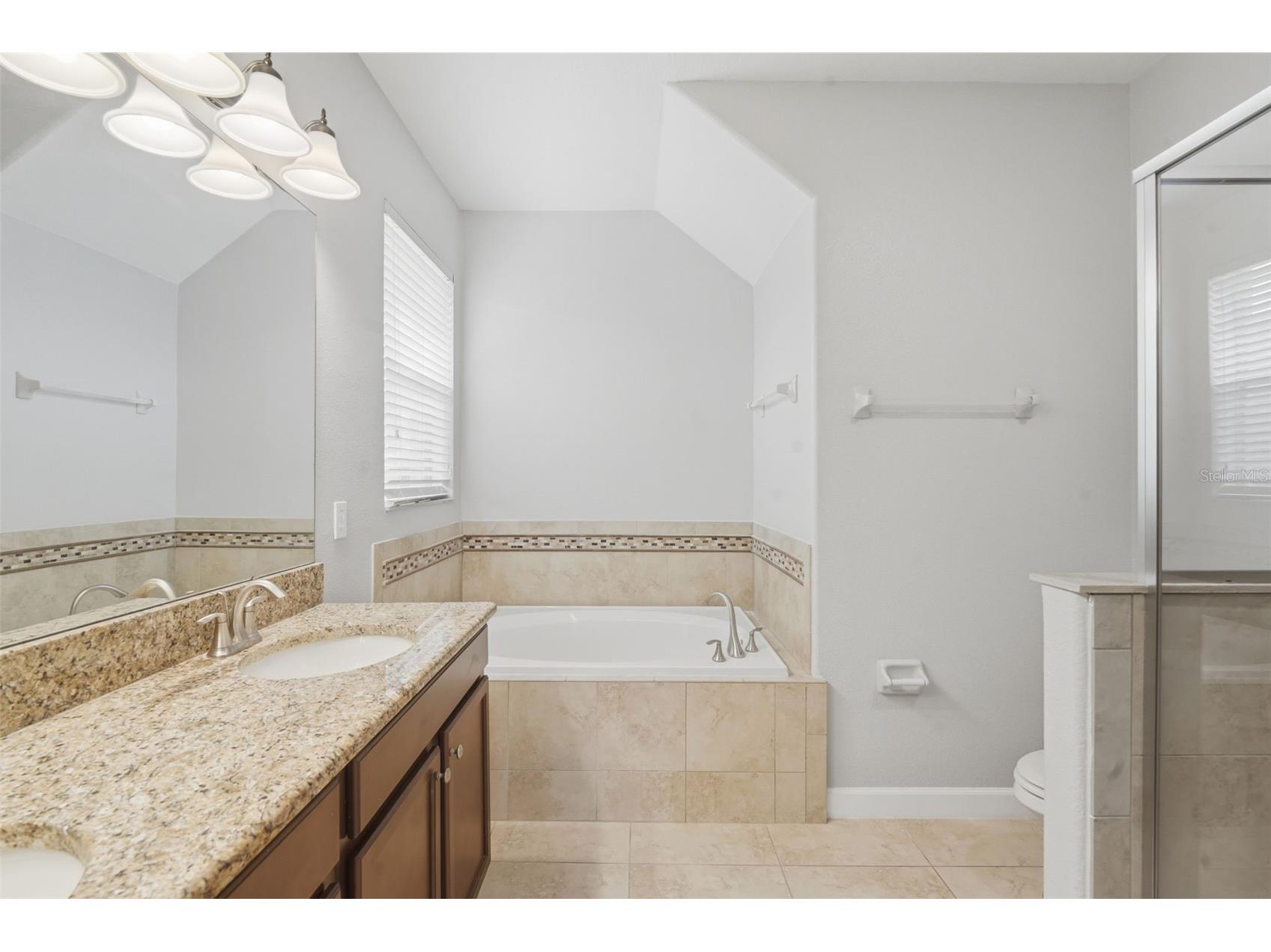 15025 Evergreen Oak Loop Winter Garden FL 34787 O6410108 image29