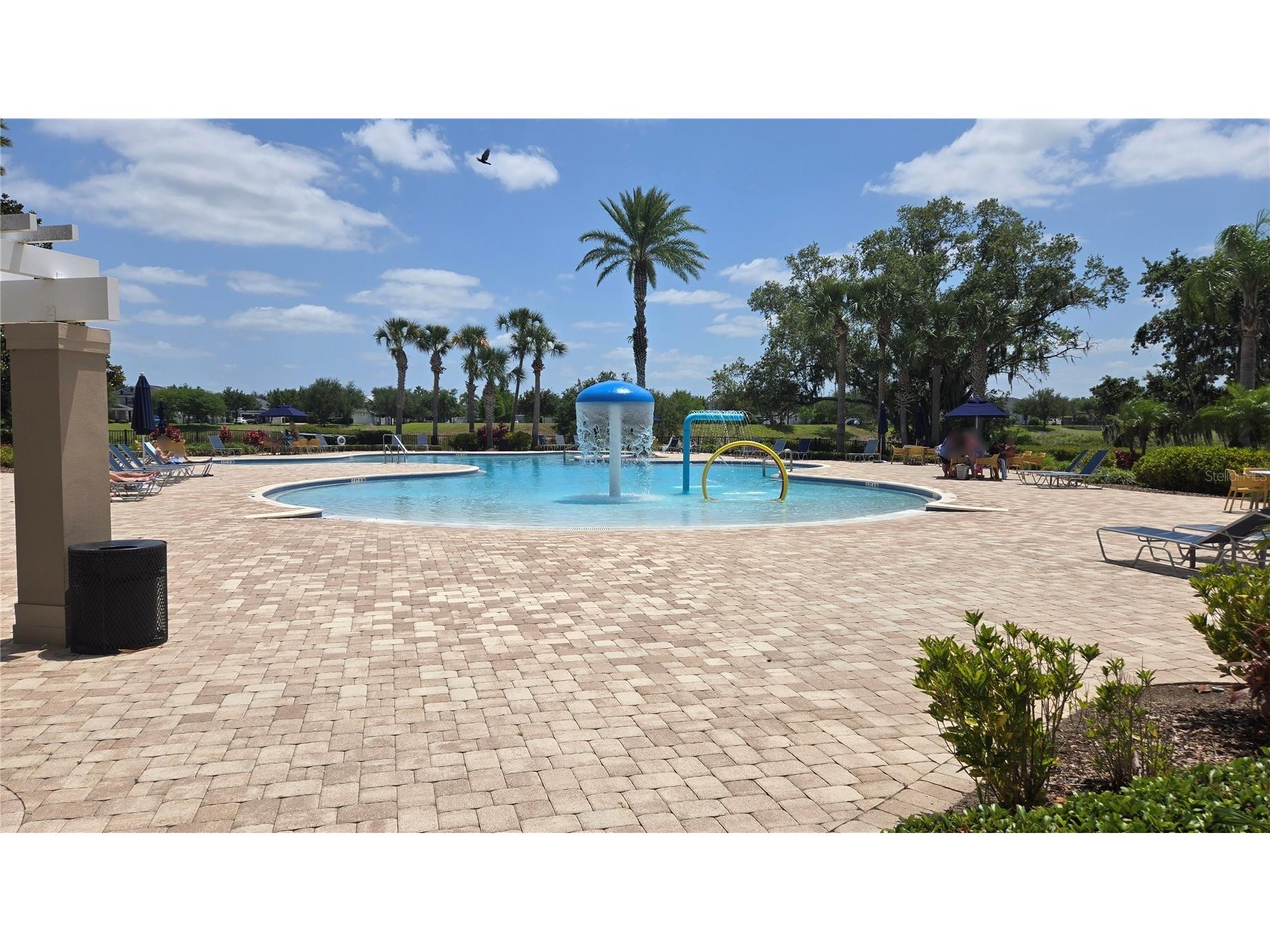 15025 Pigeon Plum Lane Winter Garden FL 34787 O6404948 image34