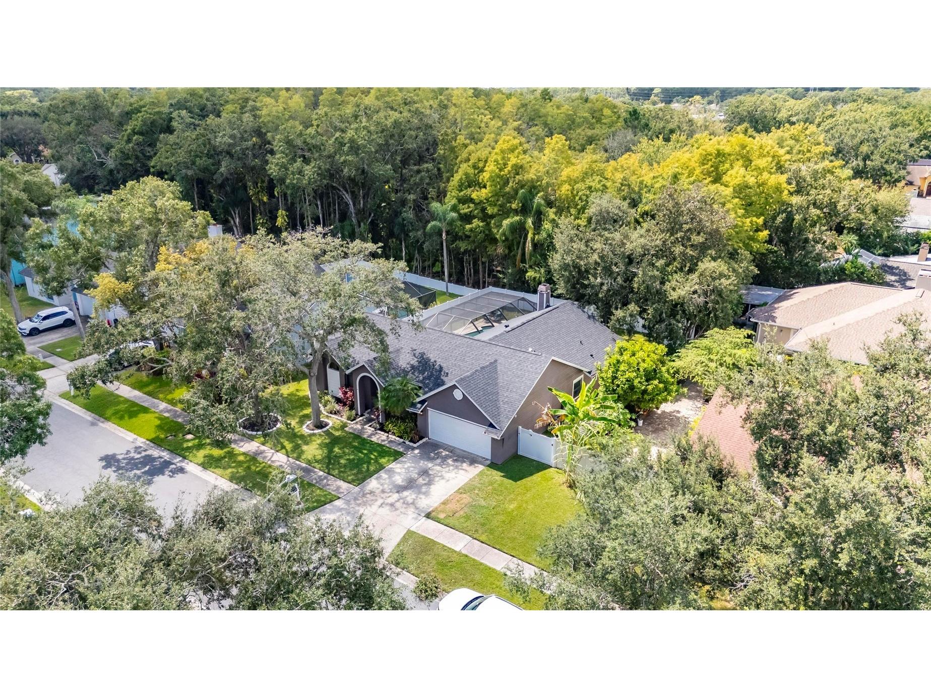 15026 Rocky Ledge Drive Tampa FL 33625 TB8435181 image42