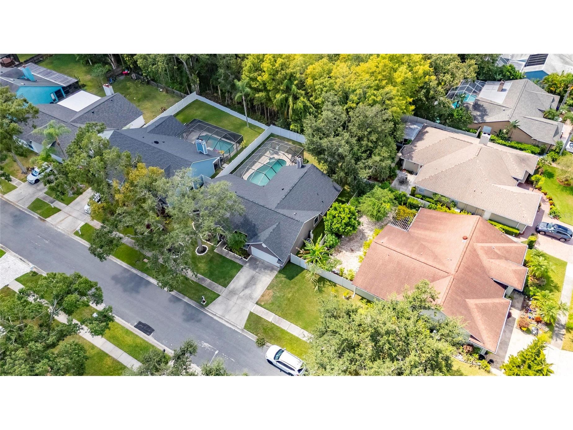 15026 Rocky Ledge Drive Tampa FL 33625 TB8435181 image44