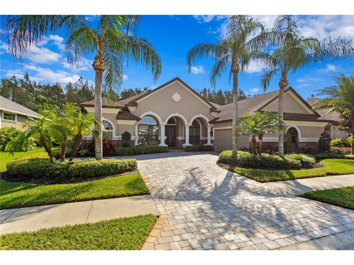 15027 Wind Whisper Drive Odessa FL 33556 TB8311968 image1