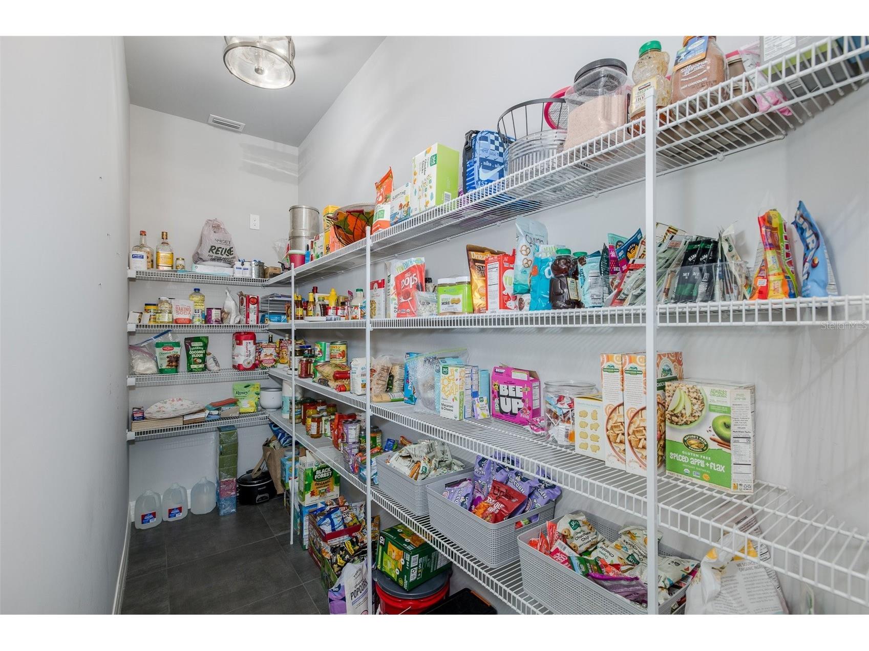 15027 Wind Whisper Drive Odessa FL 33556 W7884817 image17