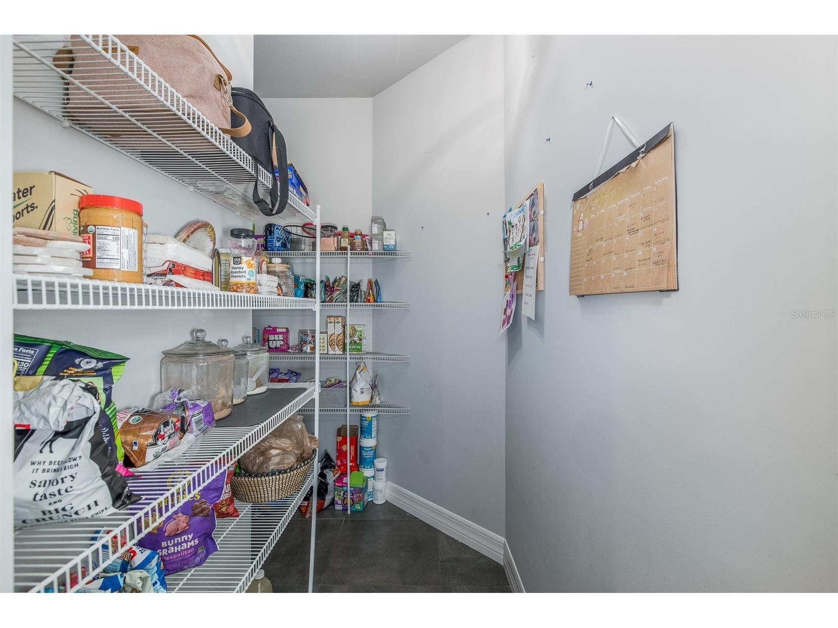 15027 Wind Whisper Drive Odessa FL 33556 W7884817 image18