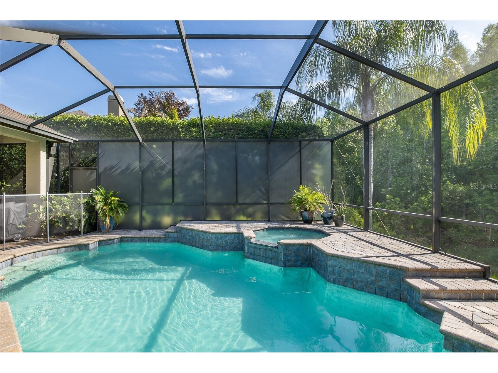 15027 Wind Whisper Drive Odessa FL 33556 W7884817 image45