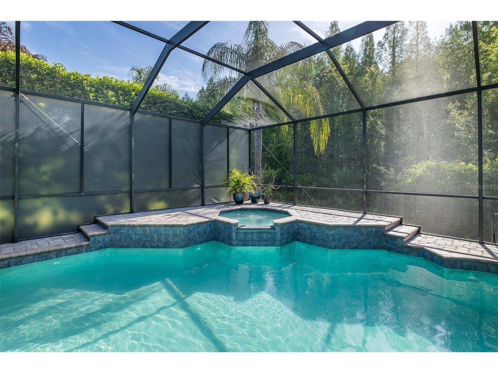 15027 Wind Whisper Drive Odessa FL 33556 W7884817 image46