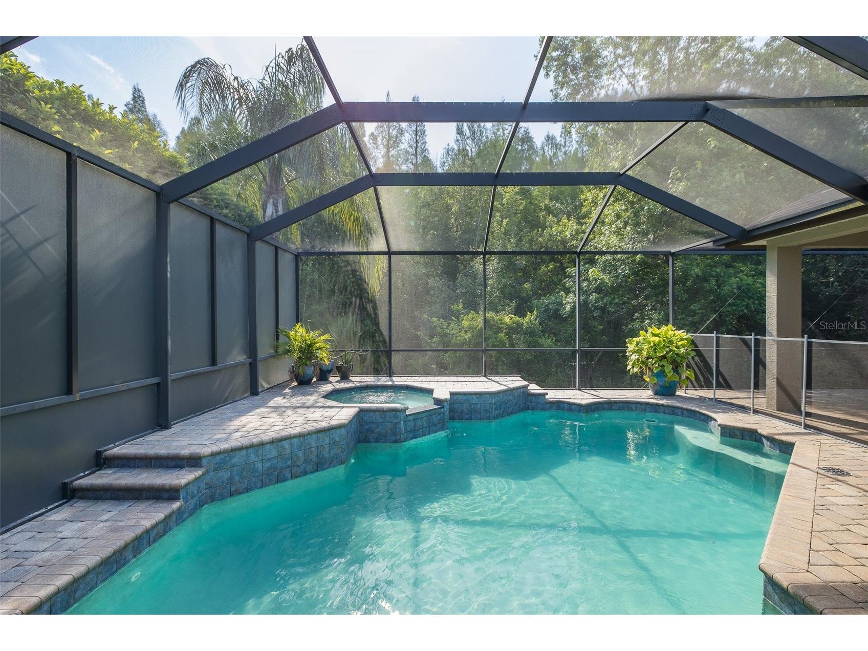 15027 Wind Whisper Drive Odessa FL 33556 W7884817 image48