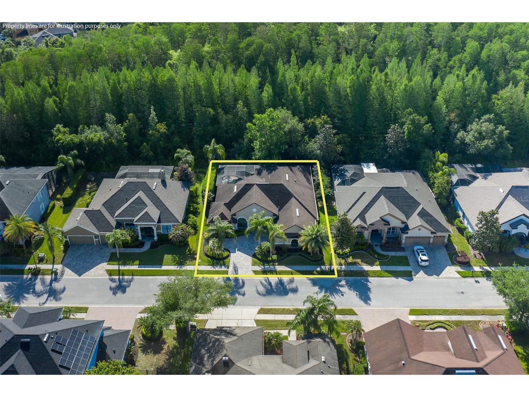 15027 Wind Whisper Drive Odessa FL 33556 W7884817 image55