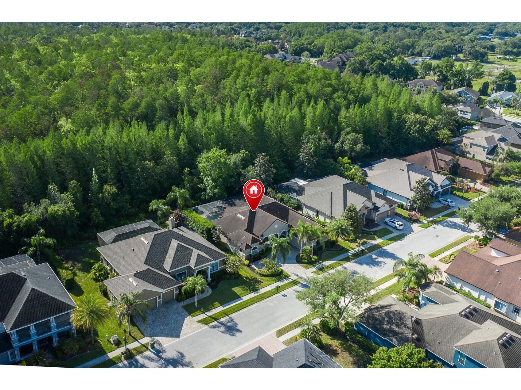 15027 Wind Whisper Drive Odessa FL 33556 W7884817 image59
