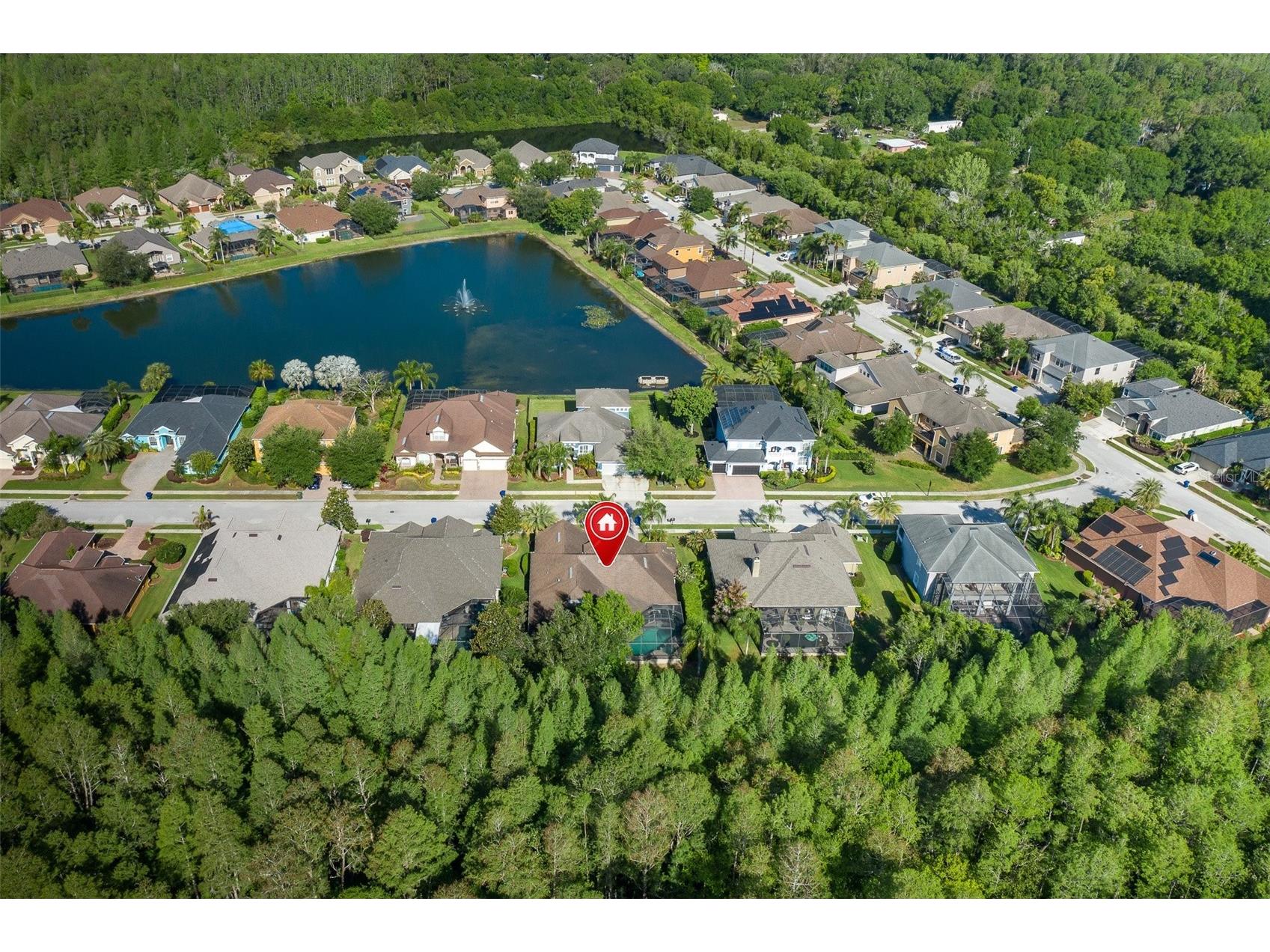 15027 Wind Whisper Drive Odessa FL 33556 W7884817 image61