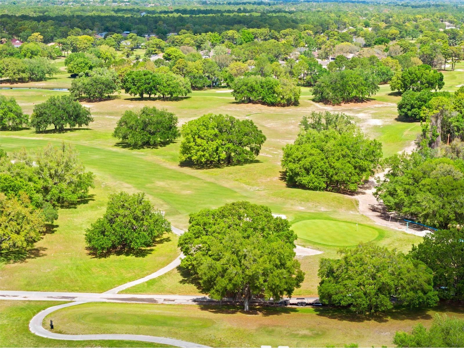 15028 Middle Fairway Drive Spring Hill FL 34609 W7884824 image27