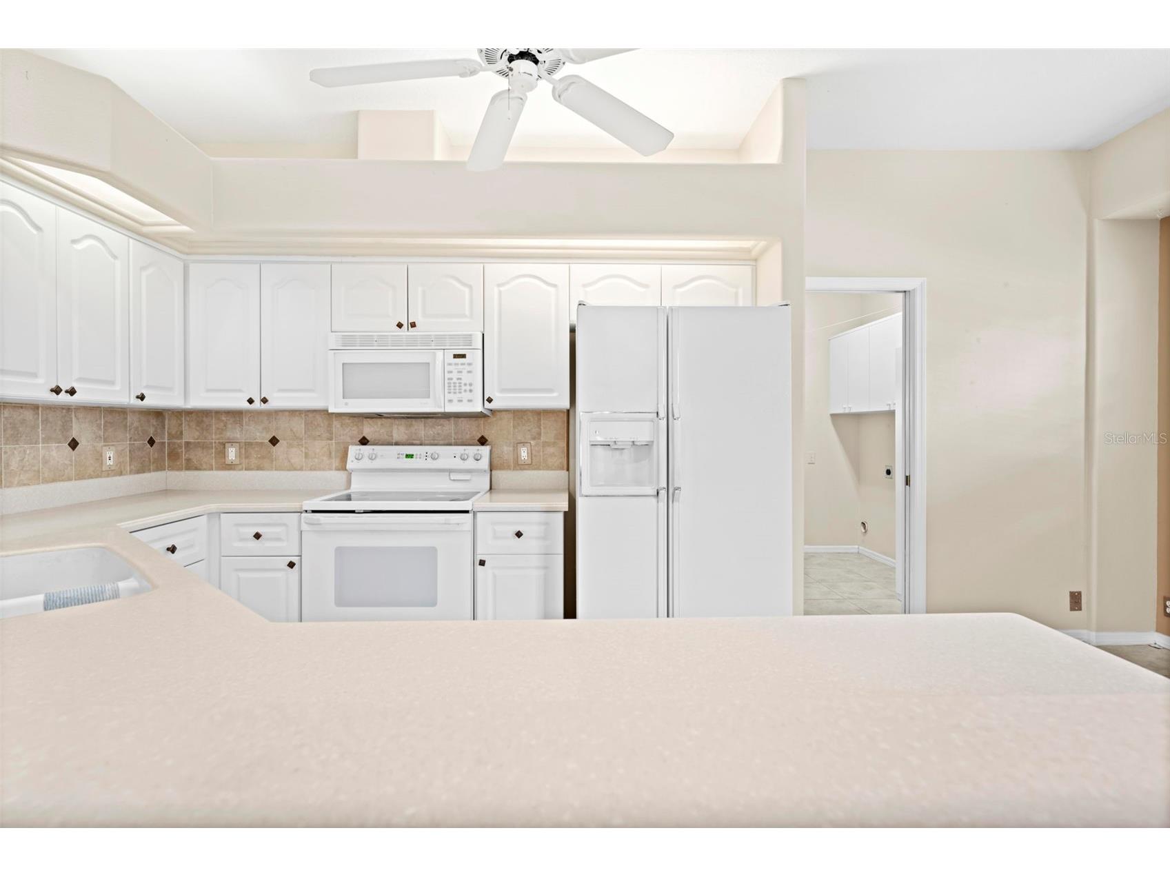15028 Middle Fairway Drive Spring Hill FL 34609 W7884824 image7
