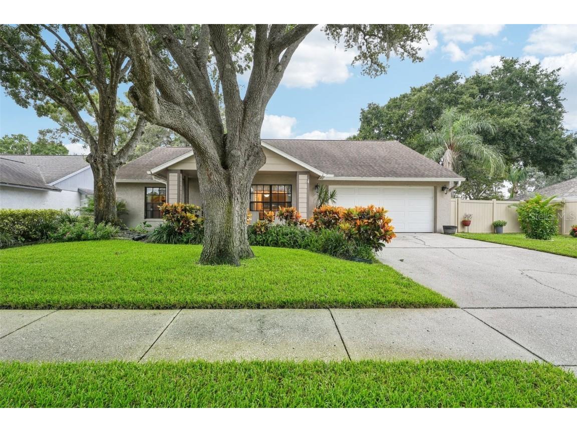 15028 Redcliff Drive Tampa FL 33625 T3546987 image1