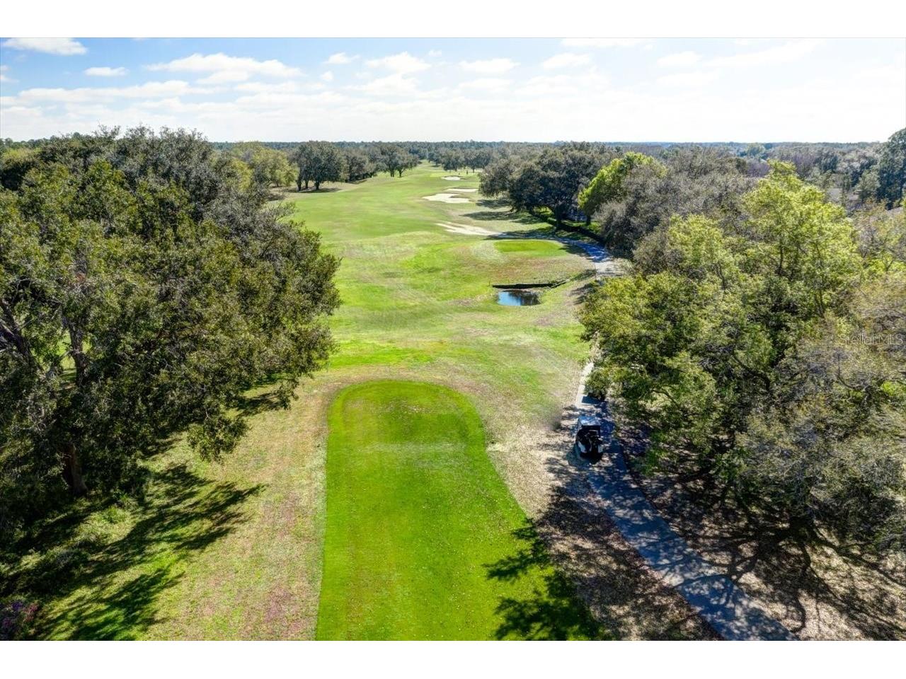 15028 Silversmith Circle Spring Hill FL 34609 W7885840 image50