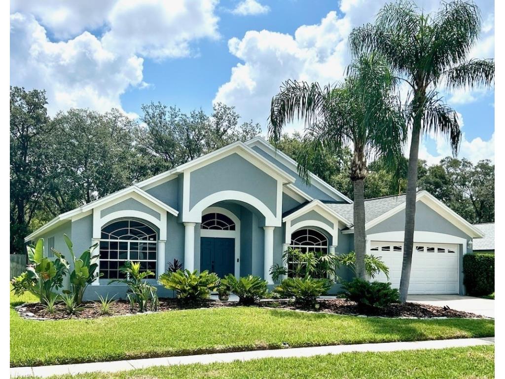 15029 Meadowlake Street Odessa FL 33556 T3459958 image1