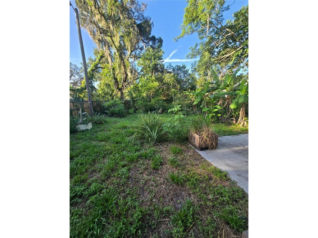 1503 E Navajo Avenue #B Tampa FL 33612 O6342413 image14