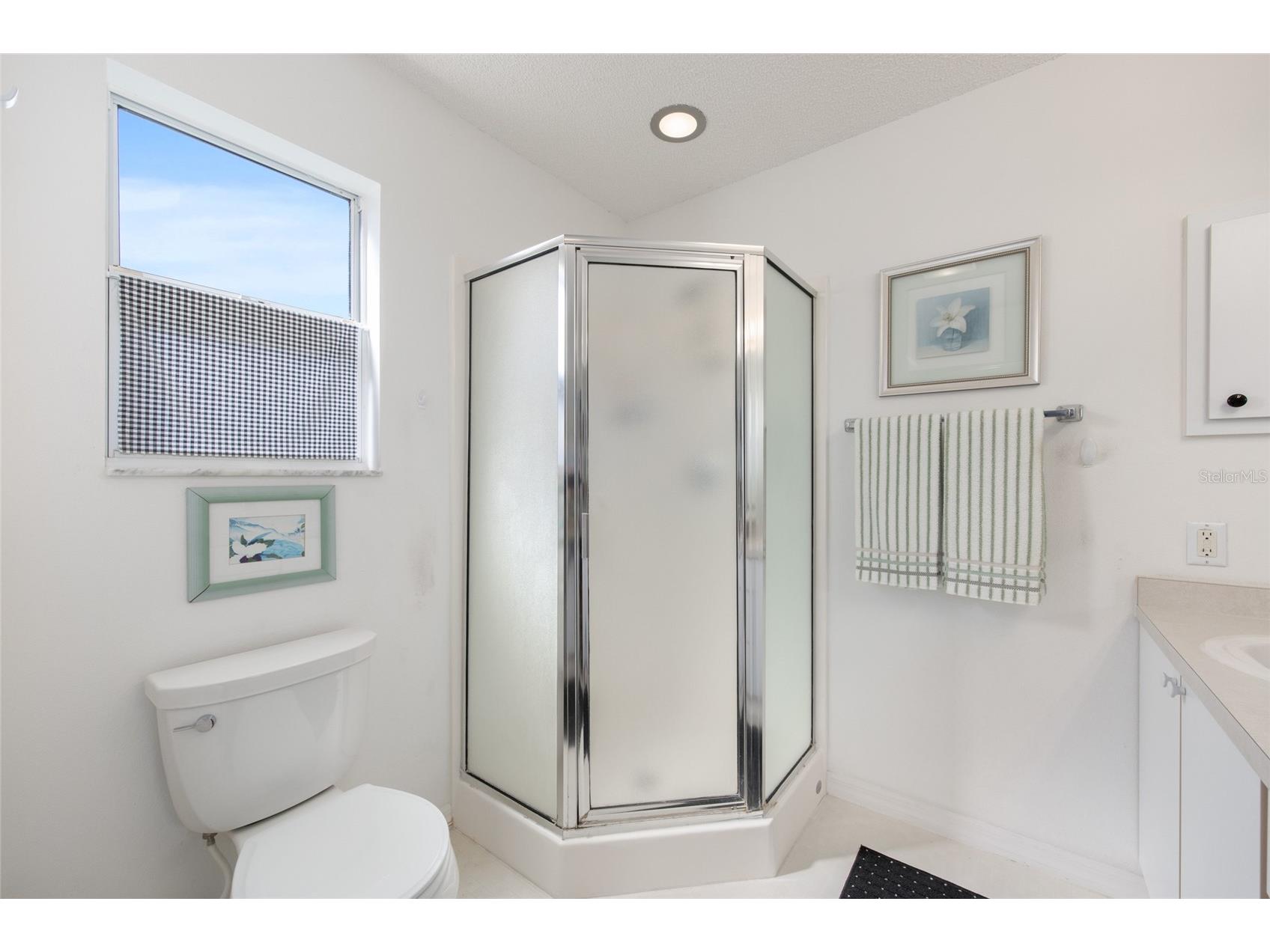 1503 Esparza Place The Villages FL 32159 G5109597 image21