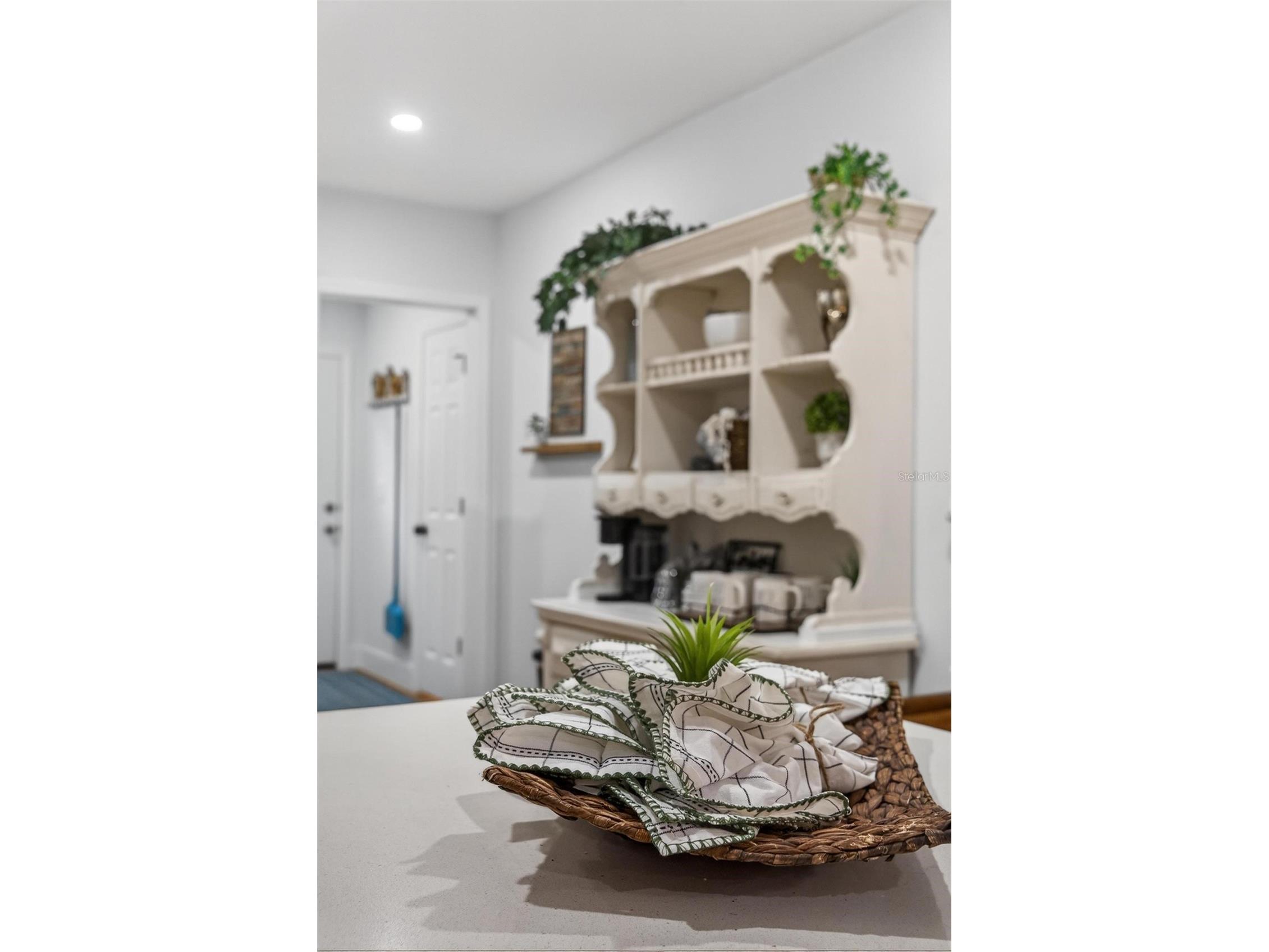 1503 Granite State Court Mount Dora FL 32757 O6373851 image29