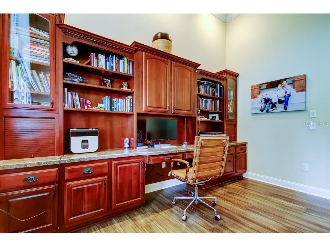 1503 Lake Polo Drive Odessa FL 33556 TB8427725 image11