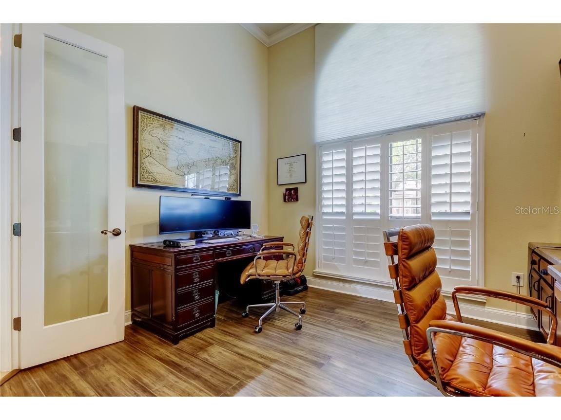 1503 Lake Polo Drive Odessa FL 33556 TB8427725 image13